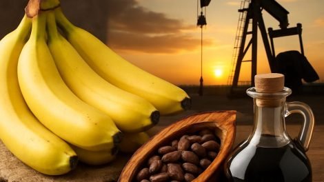 Exportaciones de Ecuador: banano, cacao y petróleo — guía actualizada de volumen y mercados